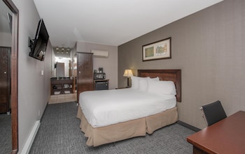 Basic Single Room