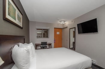 Basic Single Room