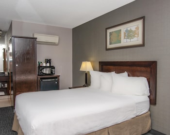 Basic Single Room