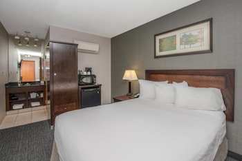 Basic Single Room