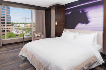 Room, 1 King Bed (Hearing Accessible)