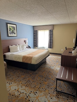 Standard Double Room, 1 Bedroom, Non Smoking