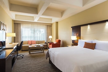 Room, 1 King Bed