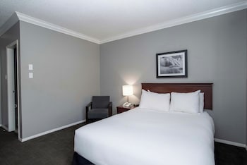 Standard Room, 1 Queen Bed
