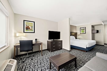 Suite, 1 King Bed, Accessible, Refrigerator & Microwave (with Sofabed)