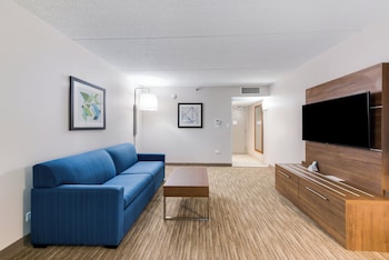 Suite, 1 Bedroom