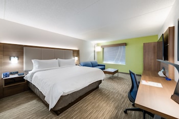 Suite, 1 King Bed with Sofa bed