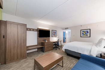 Suite, 1 King Bed with Sofa bed