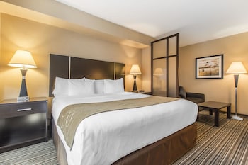Suite, 1 King Bed with Sofa bed