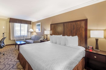 Standard Room, 1 King Bed, Non Smoking, Refrigerator & Microwave (with Sofabed)