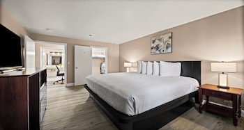 Standard Apartment, 1 King Bed, Non Smoking, Kitchen (with Sofabed, Full Kitchen)