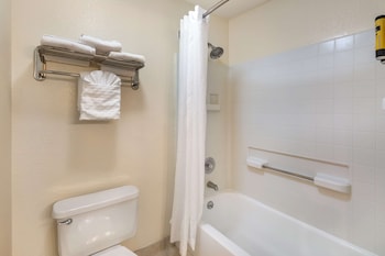 Suite, 1 King Bed, Non Smoking, Refrigerator & Microwave (with Sofabed)