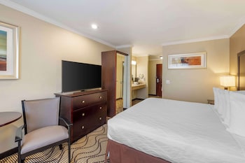 Standard Room, 1 King Bed, Accessible, Refrigerator & Microwave