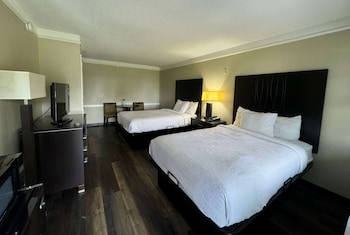 Room, Multiple Beds, Non Smoking