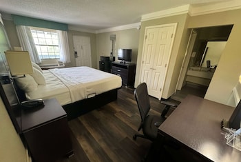 Room, 1 King Bed, Non Smoking