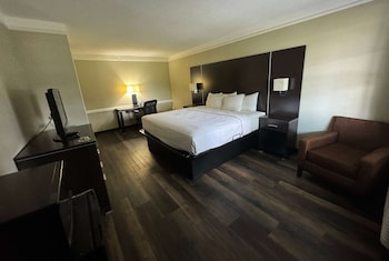 Room, 1 King Bed, Accessible, Non Smoking (Mobility Accessible Room)