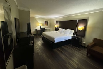 Suite, 1 King Bed, Non Smoking (Livingroom, 2 SofaBeds)