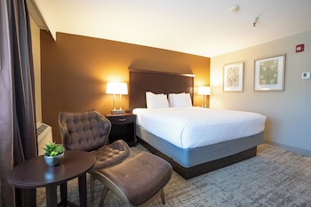 Executive Room, 1 King Bed, Non Smoking