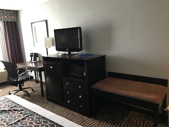 Standard Room, 1 King Bed, Non Smoking, Jetted Tub (with Sofabed)