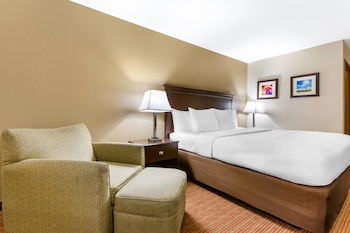 Standard Room, 1 King Bed, Non Smoking