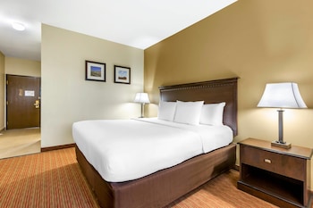 Standard Room, 1 King Bed, Accessible, Non Smoking (Roll-In Shower)