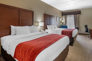 Standard Room, 2 Queen Beds