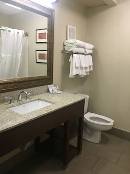 Room, 1 King Bed, Accessible, Non Smoking
