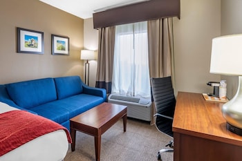 Standard Room, Multiple Beds (with Sofa Bed)