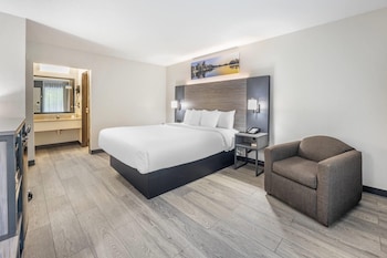 Standard Room, 1 King Bed, Non Smoking