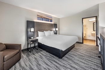 Room, 1 King Bed, Non Smoking, Jetted Tub