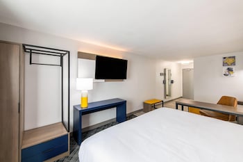 Standard Room, 1 King Bed with Sofa bed, Non Smoking