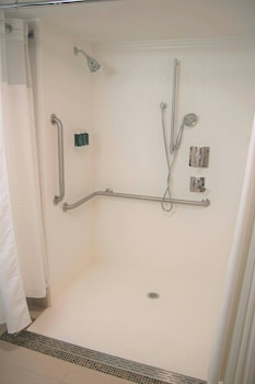 Room, 1 King Bed with Sofa bed (Mobility Accessible, Roll-in Shower)