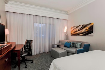 Room, 1 King Bed with Sofa bed (Mobility/Hearing Access, Roll-In Shwr)