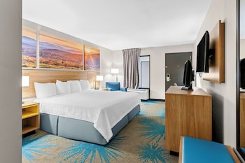 Suite, 1 King Bed, Lake View (Sofa Bed, Soaker Tub)