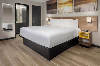 Standard Room, 1 King Bed, Refrigerator & Microwave