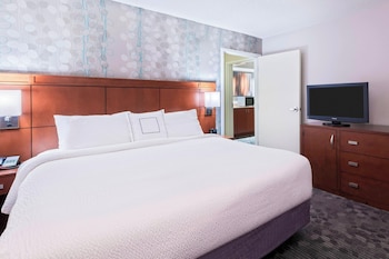 Room, 1 King Bed with Sofa bed (Mobility/Hearing Access, Roll-In Shwr)