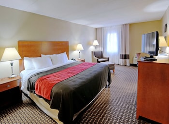 Standard Room, 1 King Bed, Non Smoking