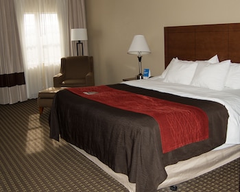 Room, 1 King Bed, Accessible, Non Smoking