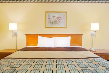 Room, 1 King Bed, Accessible