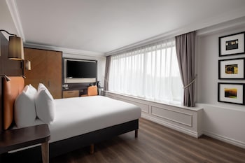 Deluxe Room, 1 King Bed, Park View
