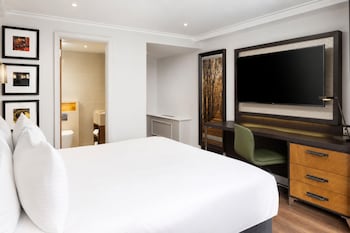 Room, 1 King Bed