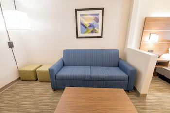 Suite, 1 King Bed with Sofa bed