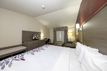 Superior Room, 1 King Bed, Accessible, Non Smoking (Roll-In Shower)