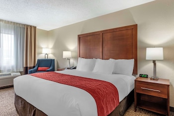Room, 1 King Bed, Accessible, Non Smoking