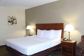 Room, 1 King Bed with Sofa bed, Non Smoking