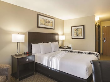 Room, 1 King Bed