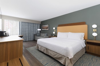 Room, 1 King Bed, Non Smoking (Study, Sofabed)