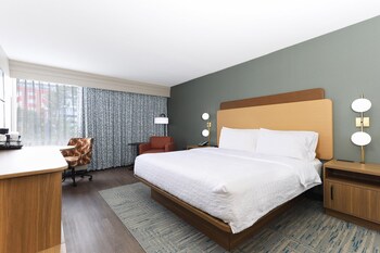 Room, 1 King Bed