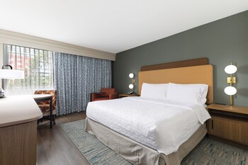 Room, 1 King Bed, Mobility Accessible
