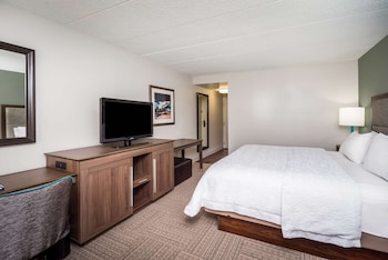 Room, 1 King Bed, Accessible, Non Smoking (Mobility & Hearing, Roll-in Shower)